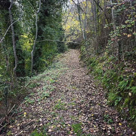 Maison Nature Et Calme A 2km Dolce Via Holiday home Chalencon